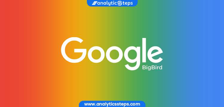 Google BigBird: Features and Applications title banner